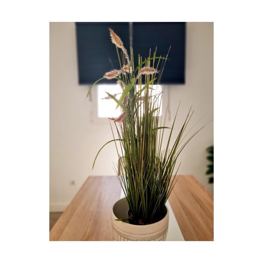 Apartamento Con Sol De Paz Torremolinos Bagian luar foto